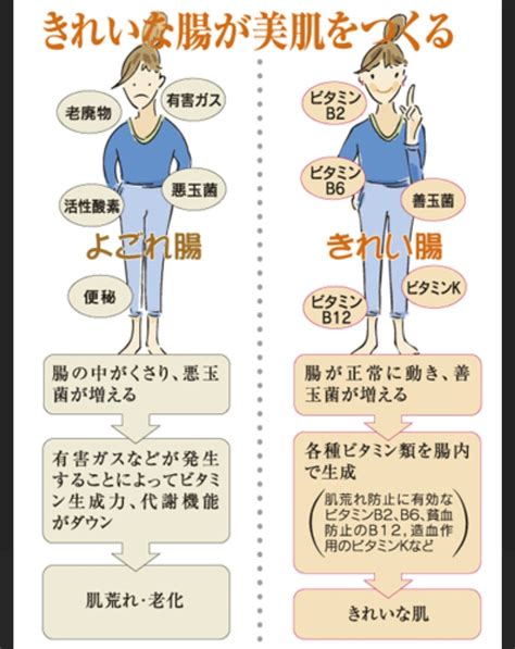 腸胃影響皮膚|皮膚科医に聞く！ 腸内環境とお肌の関係は？